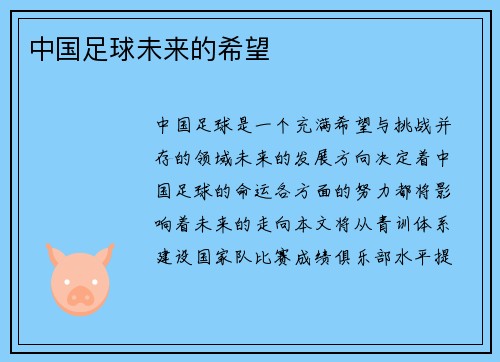 中国足球未来的希望
